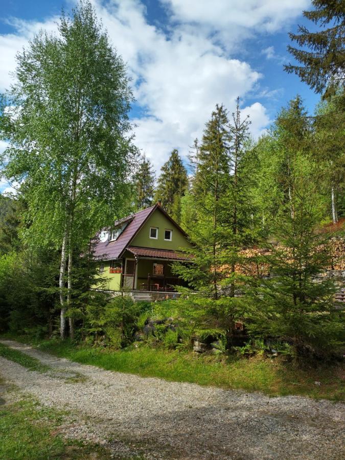 Vila Green House Gheorgheni  Exteriér fotografie